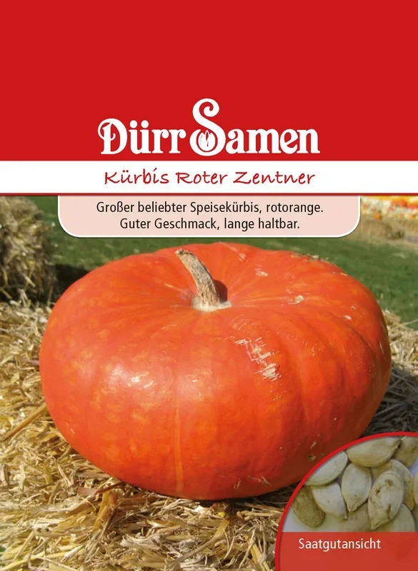 Kürbis Roter Zentner