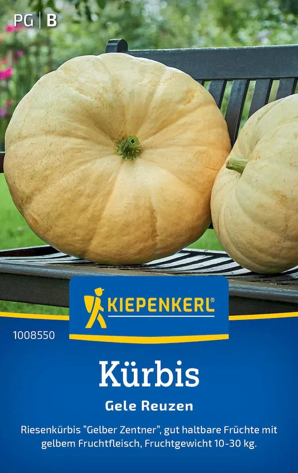 Kürbissamen Gele Reuzen