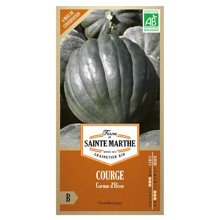La ferme Sainte Marthe – 15 Samen AB – Winterkürbis oder Winterhornkraut