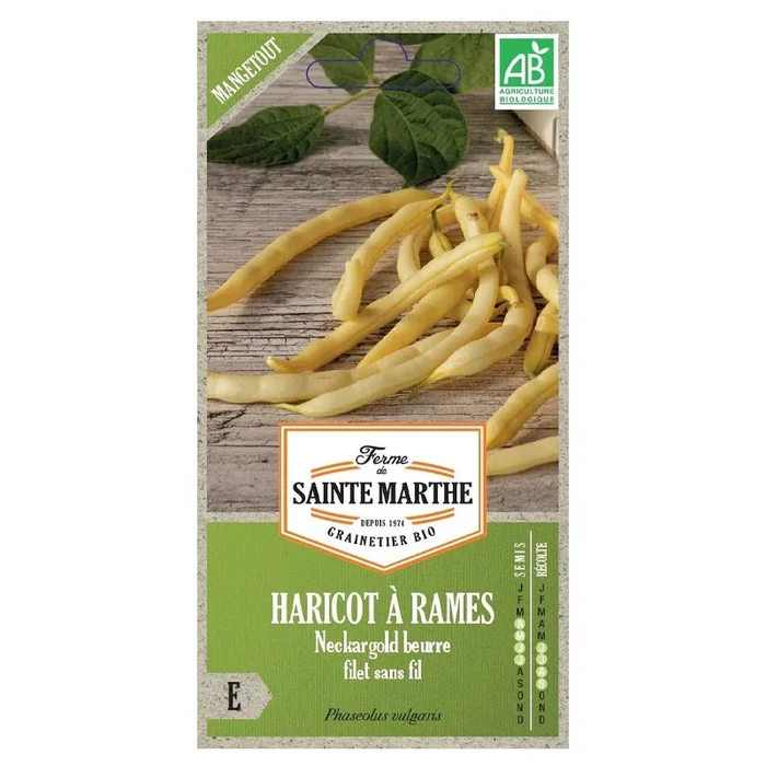 La ferme Sainte Marthe – 190 Samen AB – Stangenbohne neckargold mangetout