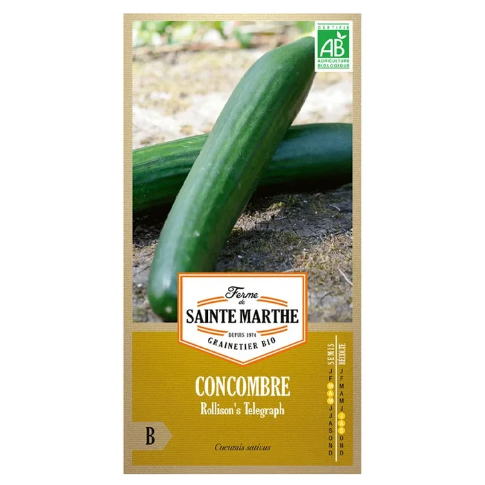 La ferme Sainte Marthe – 20 Samen AB – Gurken Rollison’s telegraph