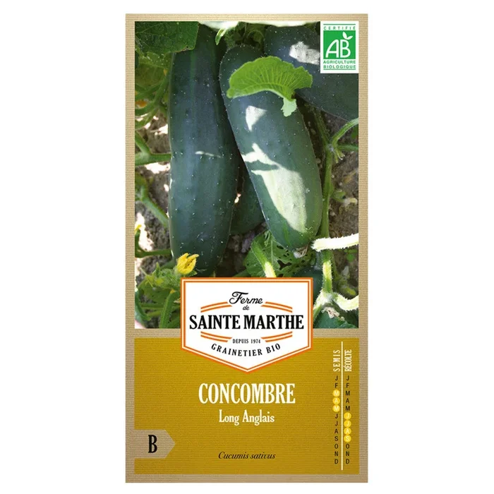 La ferme Sainte Marthe – 20 Samen AB – Lange englische Gurke