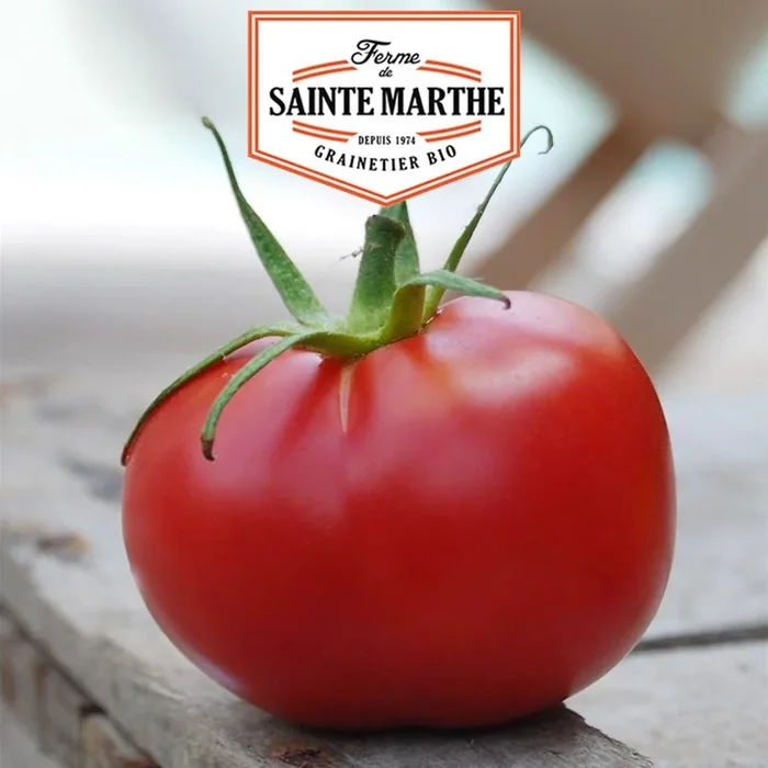 La ferme Sainte Marthe – 50 Samen Rosa Tomate aus Bern