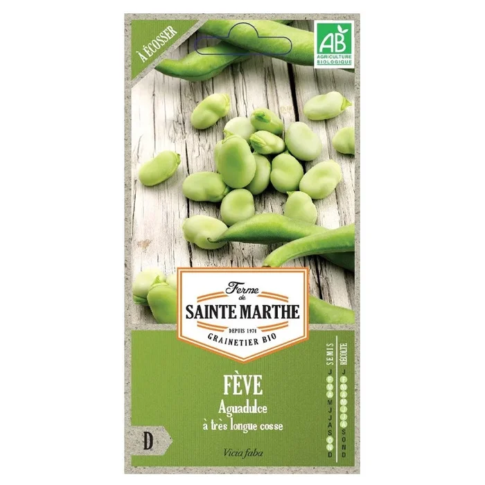 La ferme Sainte Marthe – 80 Samen AB – Aguadulce-Bohne mit sehr langen Hülsen