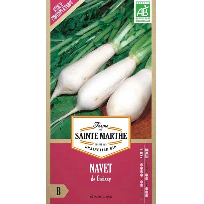 La ferme Sainte Marthe – Croissy Rübe – 300 Samen