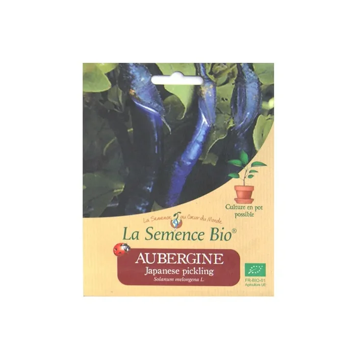 La Semence Bio – Aubergine Japanese pickling