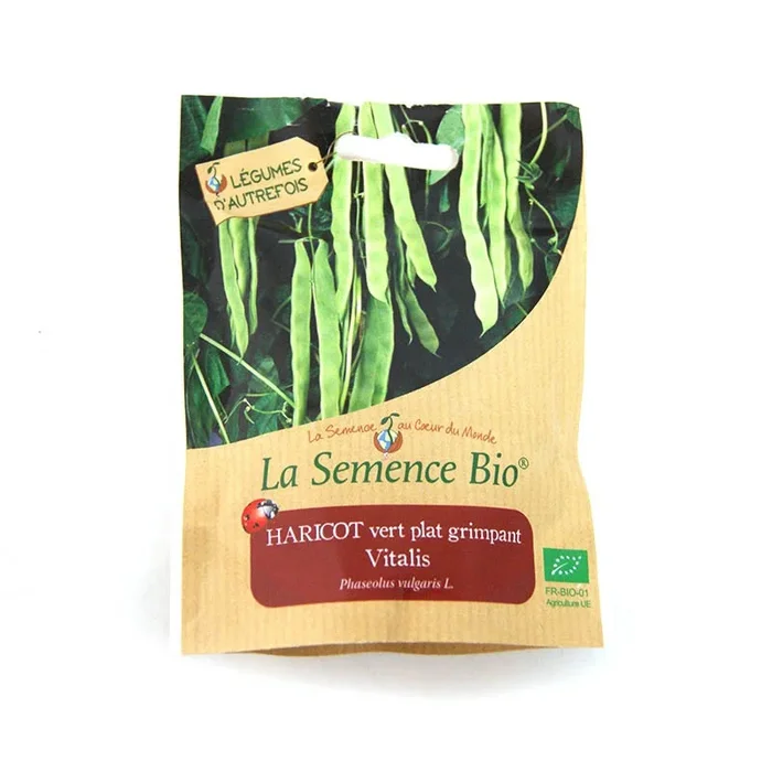 La Semence Bio – Flache grüne Kletterbohne vitalis