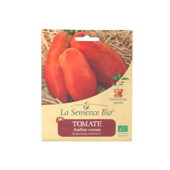 La Semence Bio – Gehörnte Andentomate