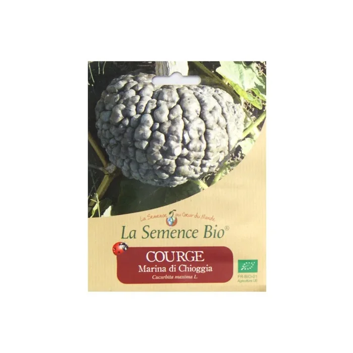 La Semence Bio – Kürbis marina di chioggia