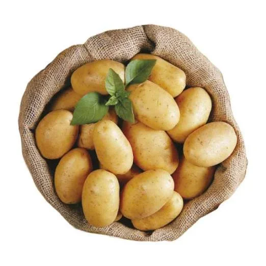 Lady ChristlPflanzkartoffeln, bio