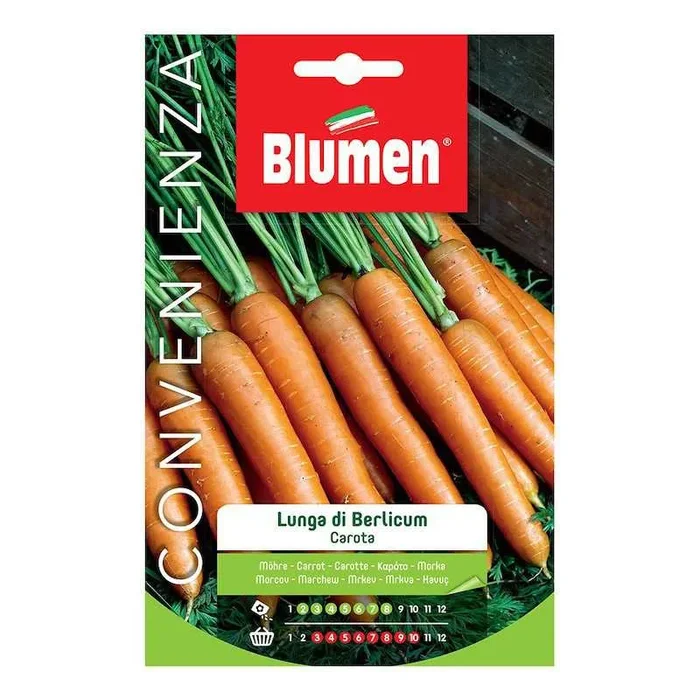 Lange Karottensamen – Maxi