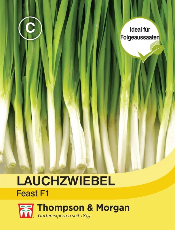 Lauchzwiebel Feast [MHD 12/2024]
