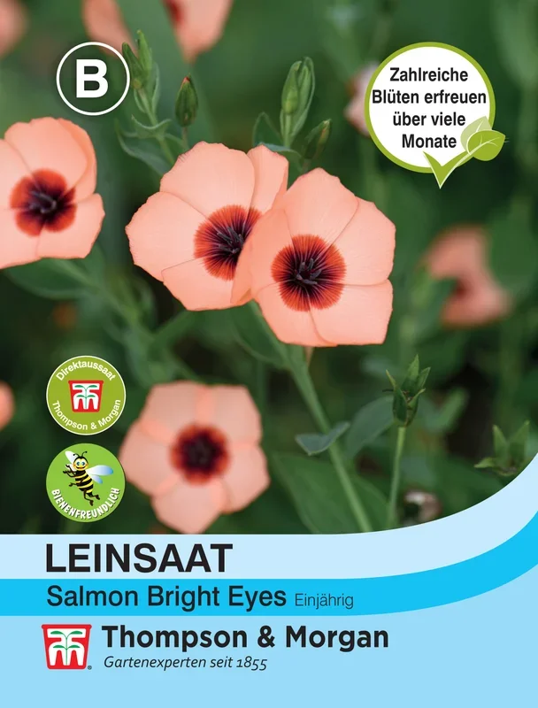 Leinsaat Salmon Bright Eyes