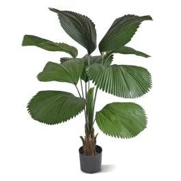 Licuala künstliche Palme 115cm
