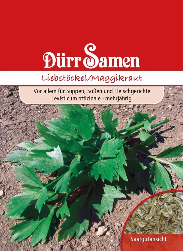 Liebstöckel Maggikraut [MHD 12/2025]