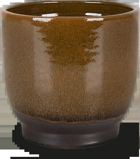 Linn (25cm)