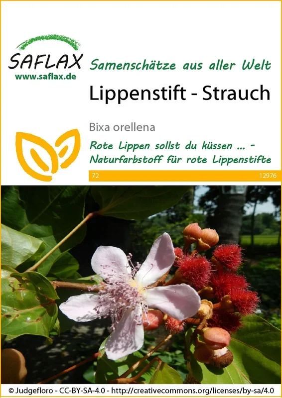Lippenstift-Strauch