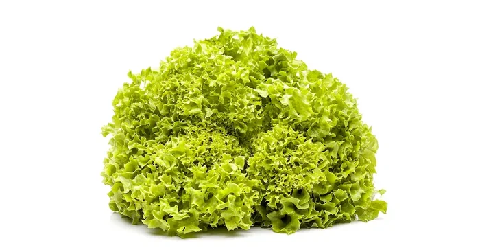 Lollo Bionda