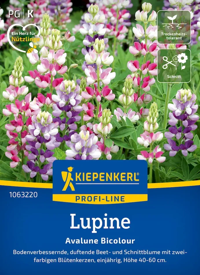 Lupinensamen Avalune Bicolour