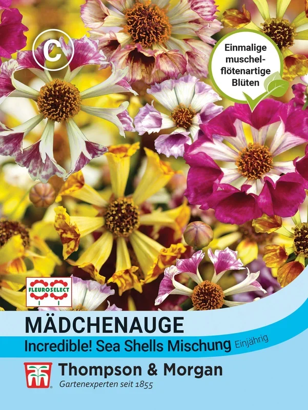 Mädchenauge Incredible! Sea Shells Mischung