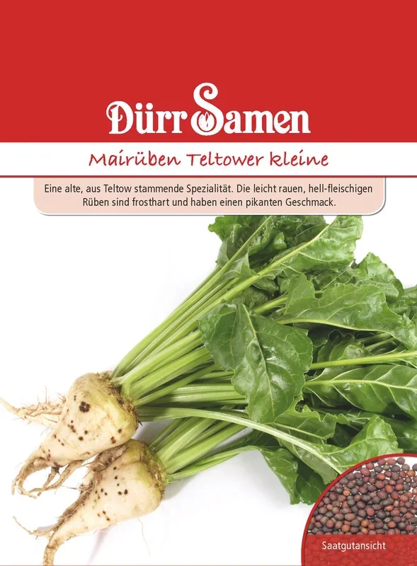 Mairübe kleine Teltower