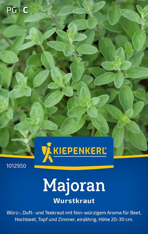 Majoransamen Wurstkraut