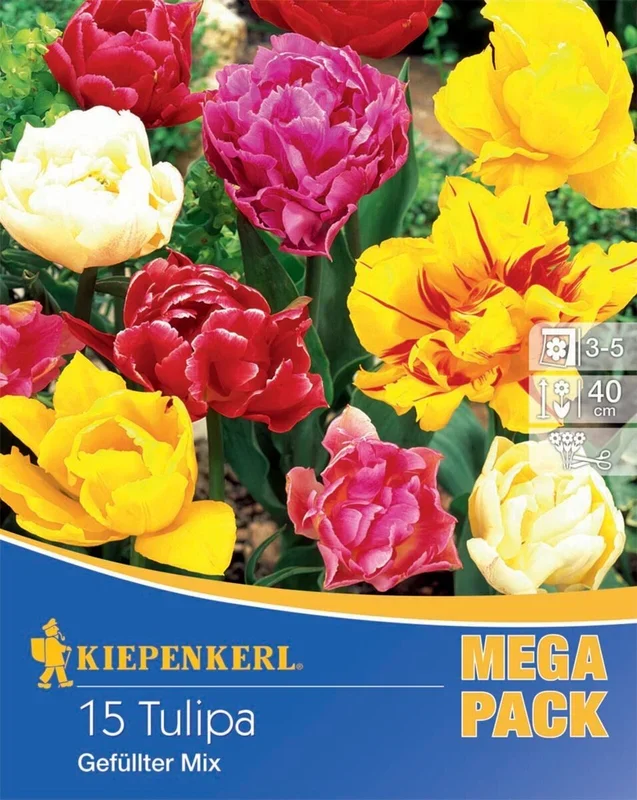 Mega-Pack „Gefüllte Tulpen Mischung“, 15 Zwiebeln