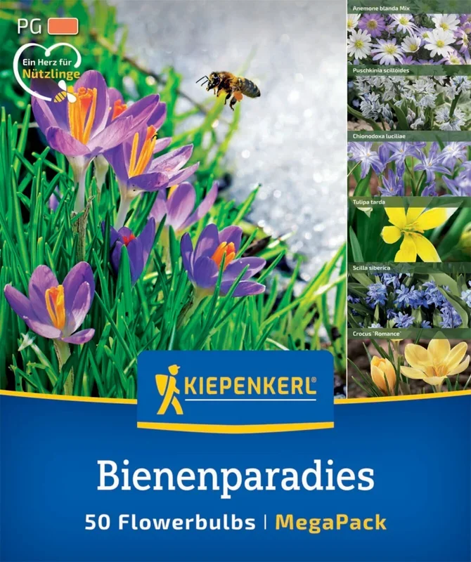 Mega-Pack Blumenzwiebelmischung Bienenparadies (50 Stück)
