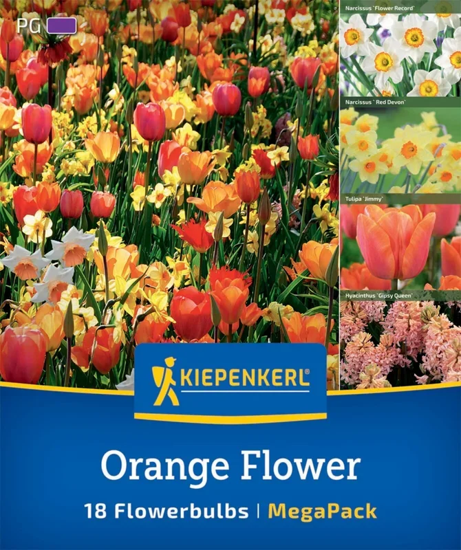 Mega-Pack Blumenzwiebelmischung Orange Flower Mix (18 Stück)