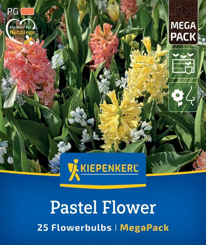 Mega-Pack Blumenzwiebelmischung Pastel Flower