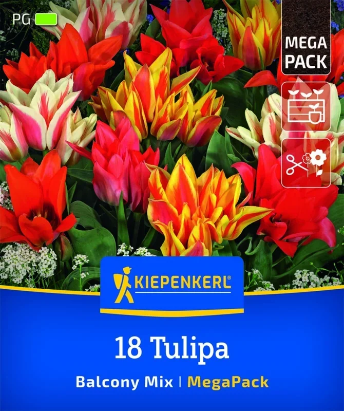 Mega-Pack Botanischer Tulpen Balkonzauber Mix, 18 Stück, Herbstblumenzwiebeln Kiepenkerl