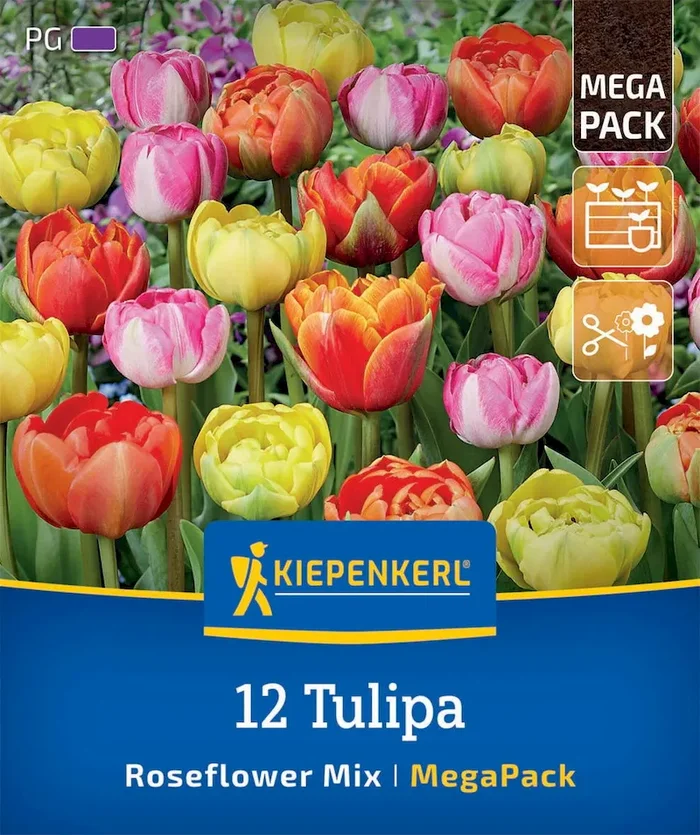 Mega-Pack Gefüllte Späte Rosentulpen Mischung