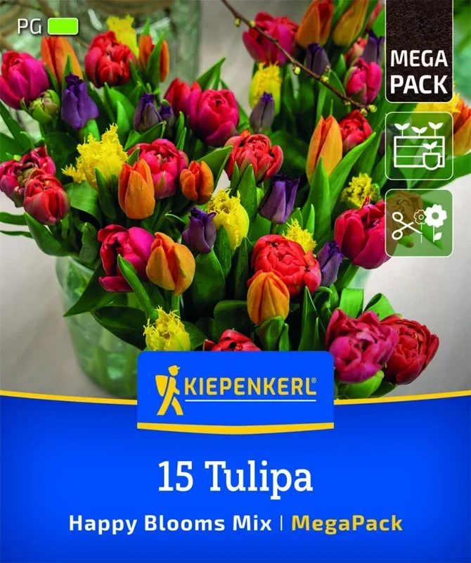 Mega Pack Happy Blooms, 15 Stück, Herbstblumenzwiebeln Kiepenkerl