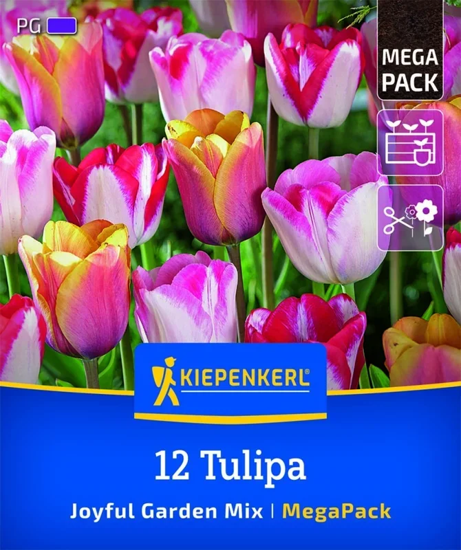 Mega Pack Joyful Garden, 12 Stück, Herbstblumenzwiebeln Kiepenkerl