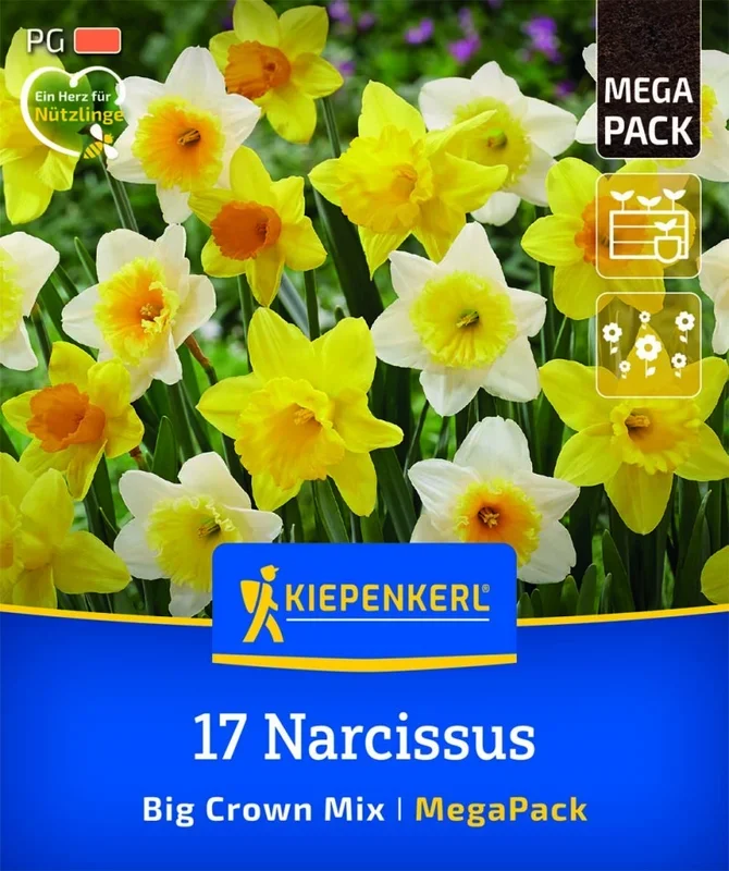 Mega-Pack Narzissen Großkronige Mischung, 17 Stück, Herbstblumenzwiebeln Kiepenkerl