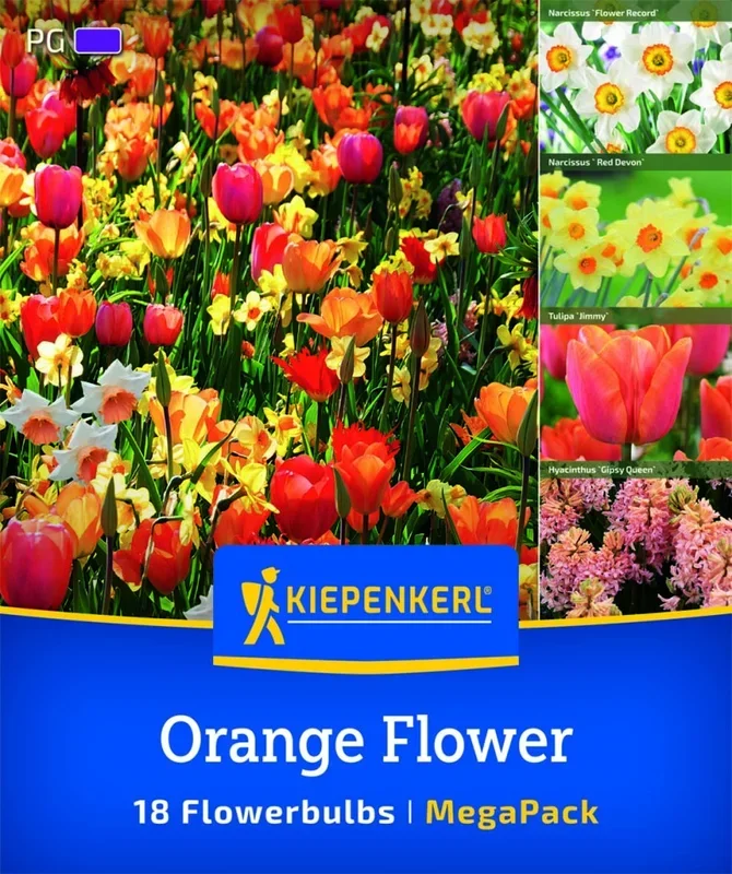 Mega Pack Orange Flower, 18 Stück, Herbstblumenzwiebeln Kiepenkerl