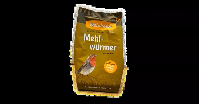 Mehlwürmer