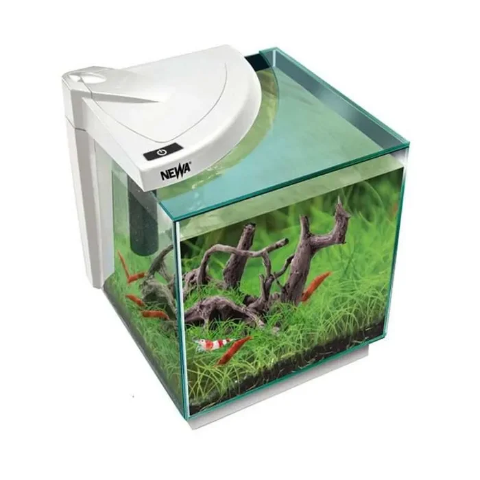 Mehr Caridinae NMO 20 Weißes Aquarium