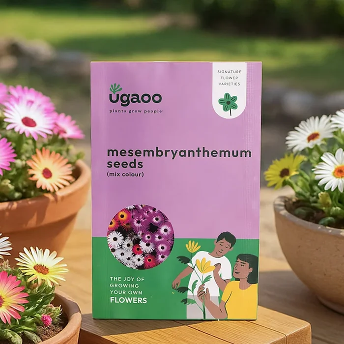Mesembryanthemum Mix Seeds