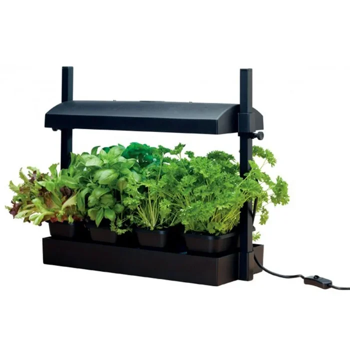 MICRO Gemüsegarten Küchengarten SCHWARZ MIT 11W LAMPE GARLAND