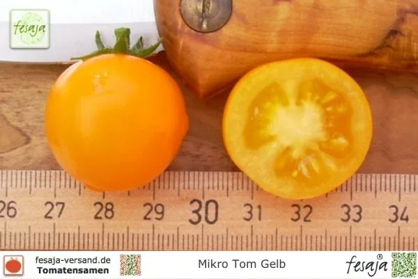 Mikro Tom Gelb · Tomaten · Samen