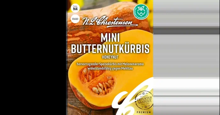 Mini Butternutkürbis Honeynut