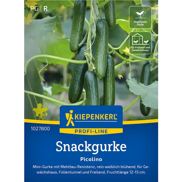 Mini-Snack-Gurke ‚Picolino‘ F1 Bestellnummer 9938650
