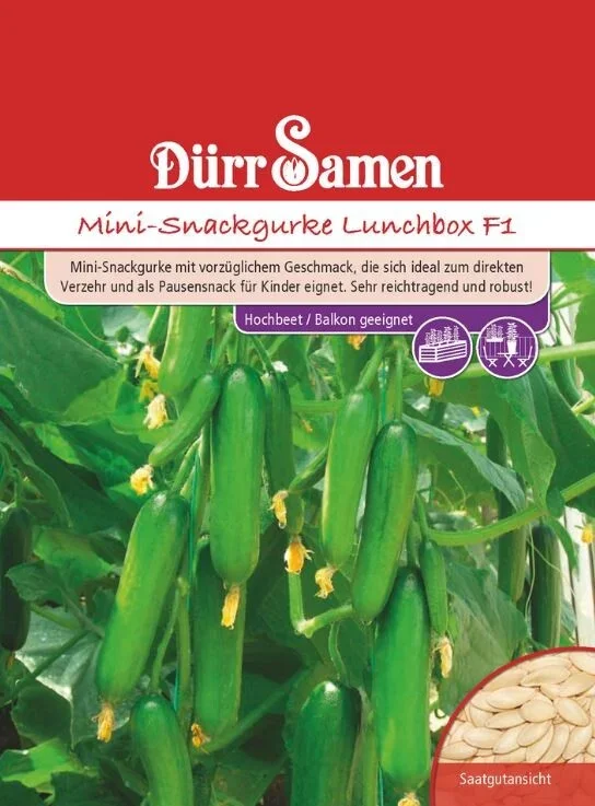 Mini-Snackgurke Lunchbox F1 (Freilandgurke/ Salatgurke), ideal zum direkten Verzehr als Pausensnack