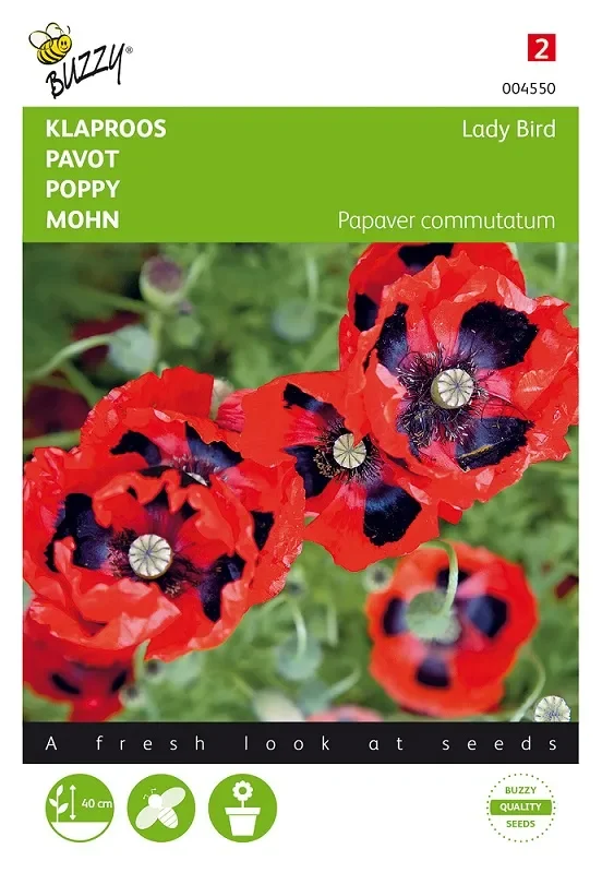 Mohn Samen ‚Lady Bird‘