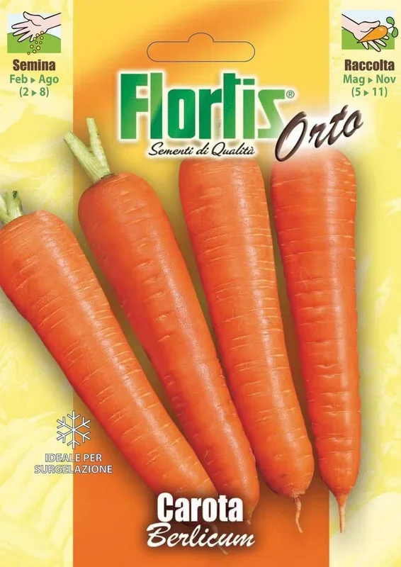 Möhre Berlicum [MHD 12/2024]