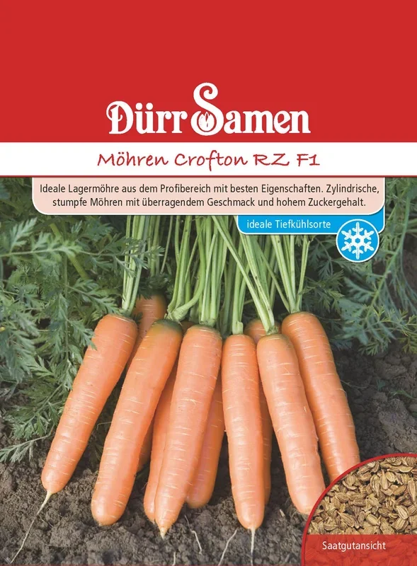 Möhre Crofton RZ F1 [MHD 12/2024]