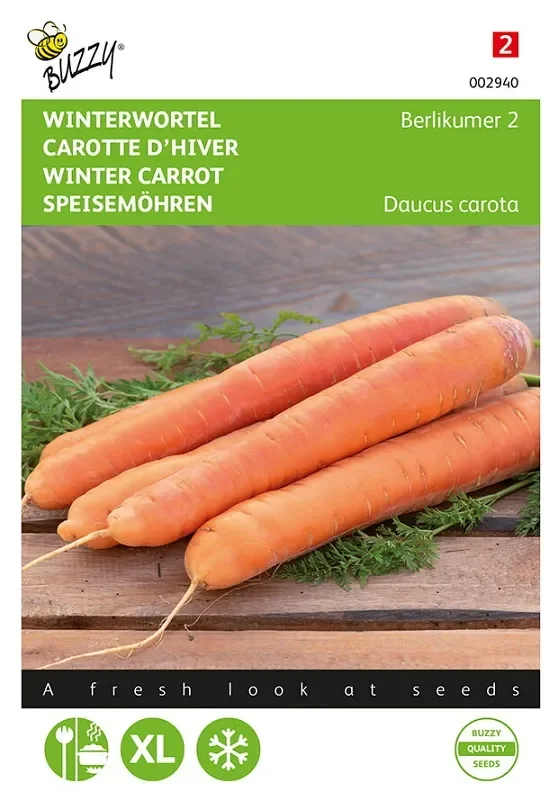 Möhren Samen ‚Berlikumer‘
