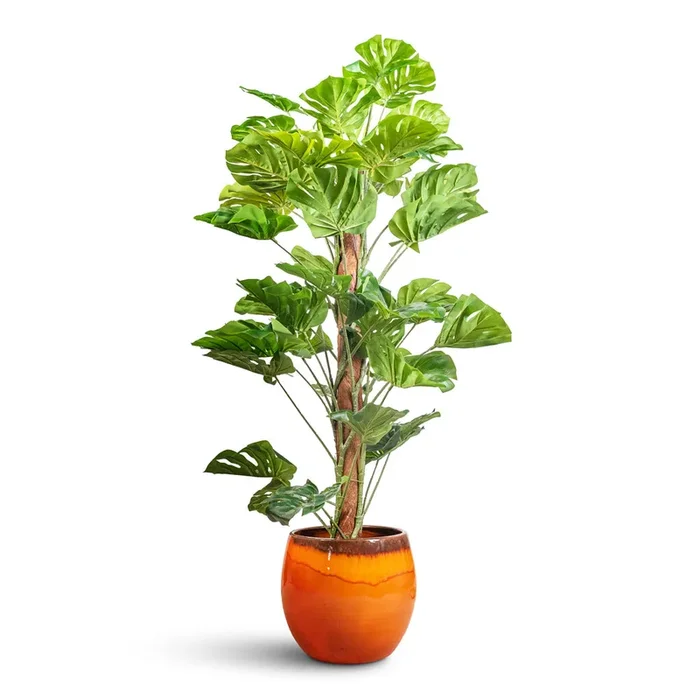 Monstera Moss Pole – Swiss Cheese Plant – Artificial