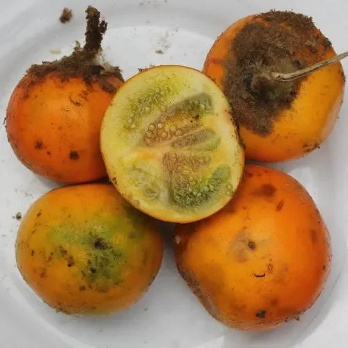 Naranjilla